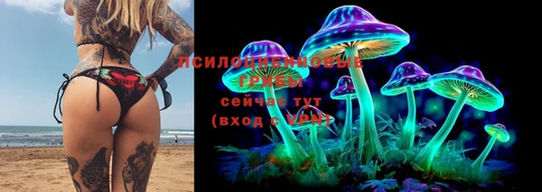 дмт Балабаново