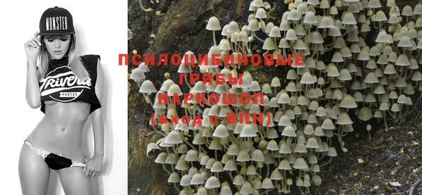 дмт Балабаново