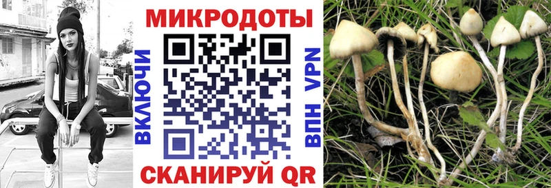 omg онион Обоянь Псилоцибиновые грибы мухоморы
